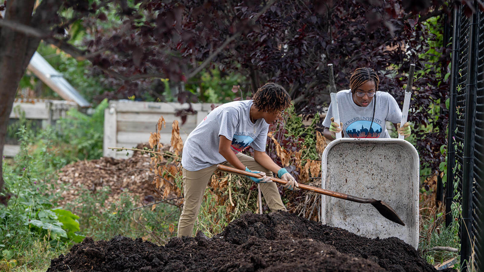 Students Planting Trees