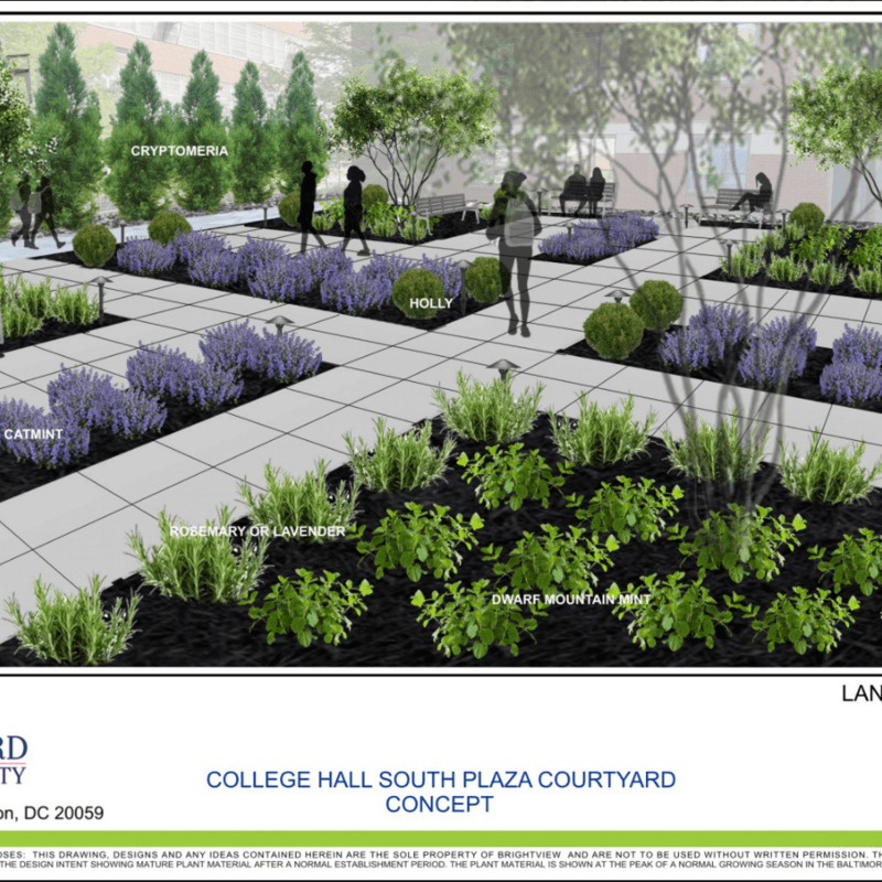 HU College Hall Outside Rendering