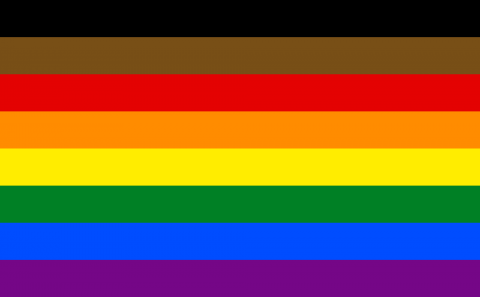 Gay pride flag with black and brown stripes.