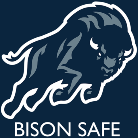 Bison Safe Square Size